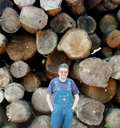 Logs at a timberyard